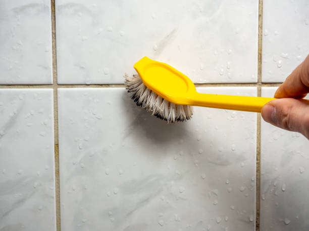 Best Affordable Mold Removal  in Pawcatuck, CT