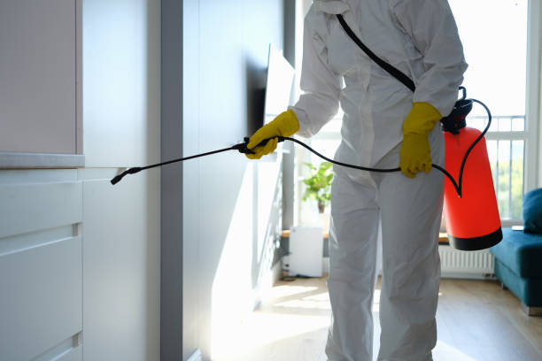 Best Crawl Space Mold Removal  in Pawcatuck, CT